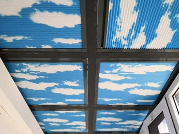 天棚帘
